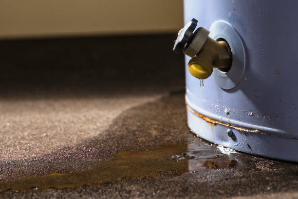 Best Water damage restoration near me  in Butte, MT