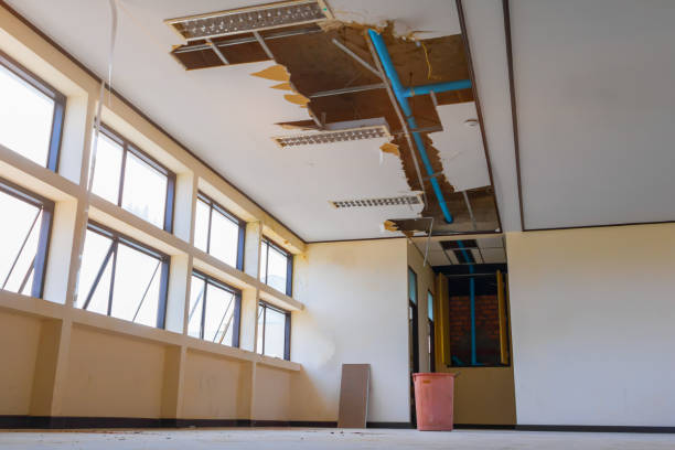 Best Water damage restoration mold remediation  in Butte, MT