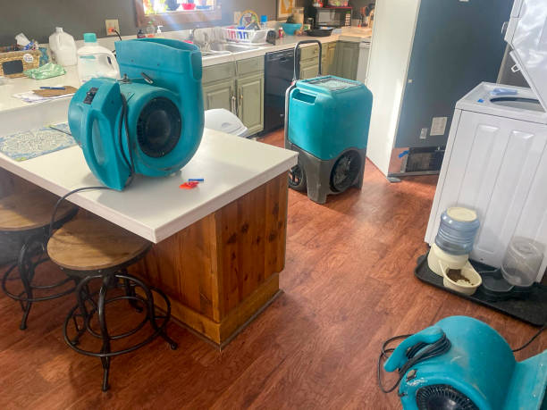 Best Mold removal after water damage  in Butte, MT