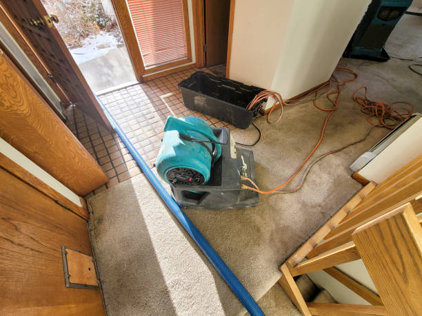Butte, MT Water damage restoration Company