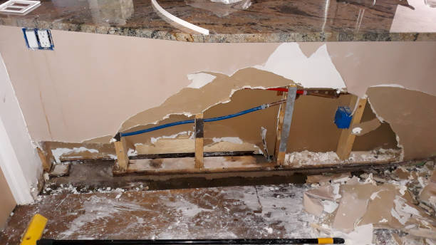 Best Fire Damage Restoration  in Butte, MT
