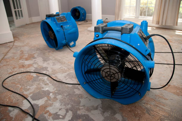 Best Water damage cleanup near me  in Butte, MT