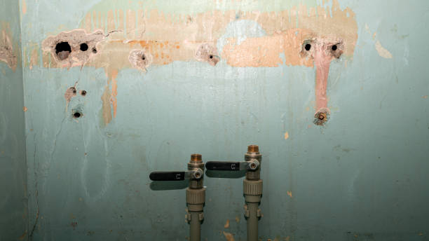 Best Sewage cleanup and water damage restoration  in Butte, MT