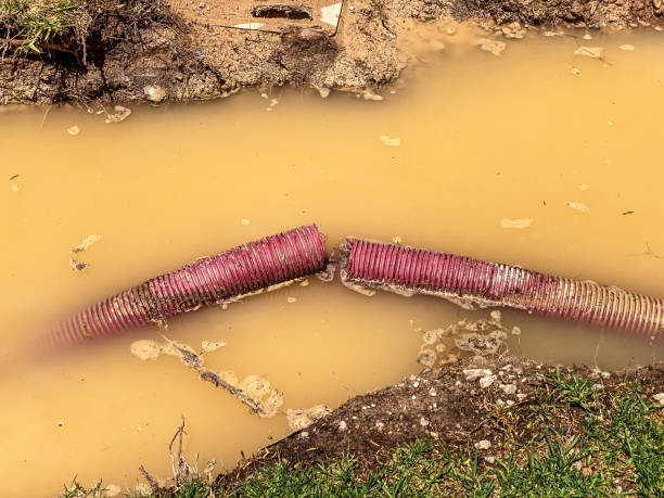 Sewage cleanup and water damage restoration in Butte, MT